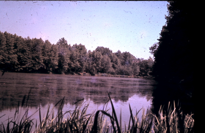 6-28-2009-047-8dced62d.jpg